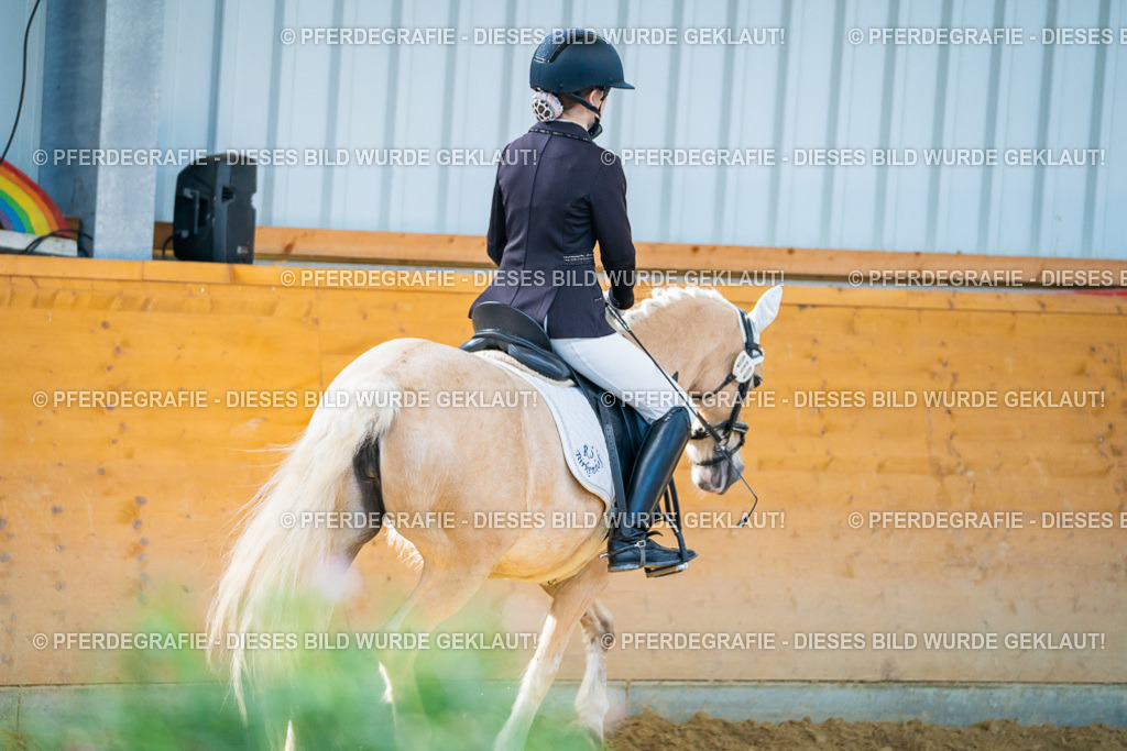 DSC07120 | Pferdegrafie