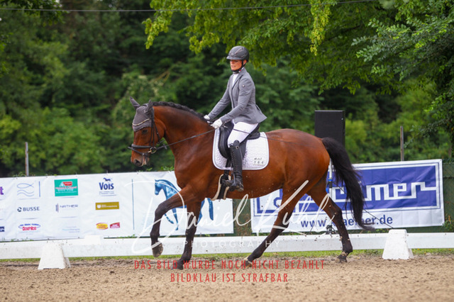 DKP41739 | Turniersportfotografie; Pferdefotografie; Dressurfotografie