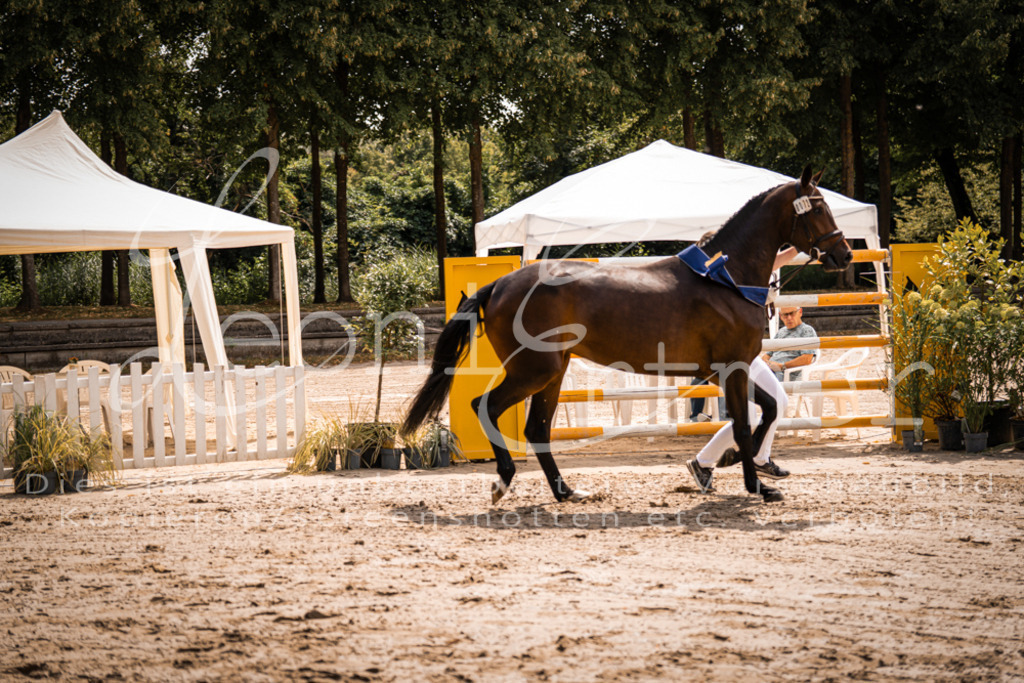 1.Fr00204 | Leoni Ertmer Photography - Realisiert mit Pictrs.com