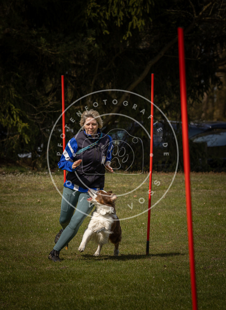 Pfotenfotografie_DV3A4148 | Hundefotografie, Tierfotograf, Pfotenfotografie, Fotoshooting Hund, Hunde Portrait, Hundesport, Hundeportraits, Heideshooting, Hunde, Sportfotograf, Hundefotograf, Turnierhundsport, THS,  - Realisiert mit Pictrs.com