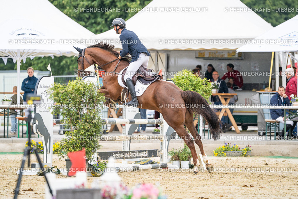 DSC00741 | Pferdegrafie