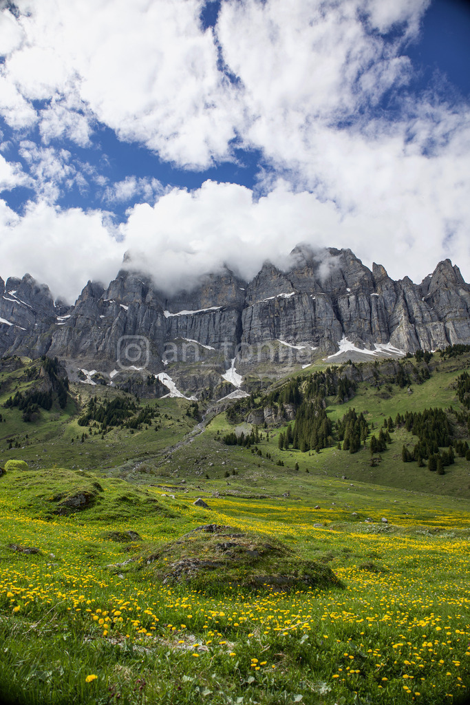 A.Trupina-241 | antonija-trupina - Realisiert mit Pictrs.com