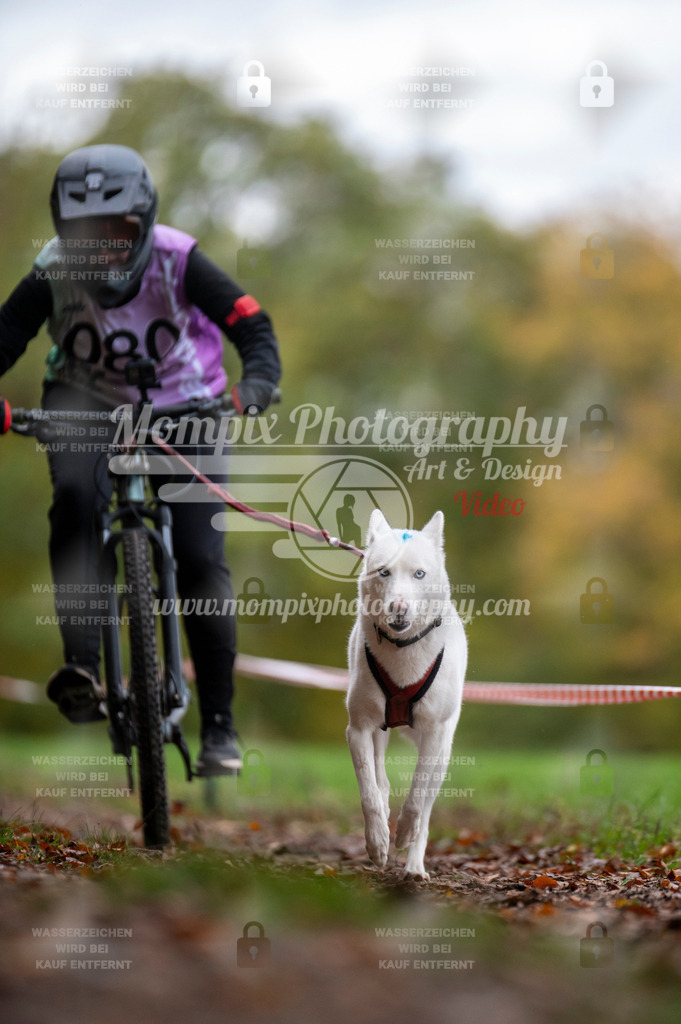 DBT_DAKM_SA_4_11_2023_Bike-96 | PayLife
