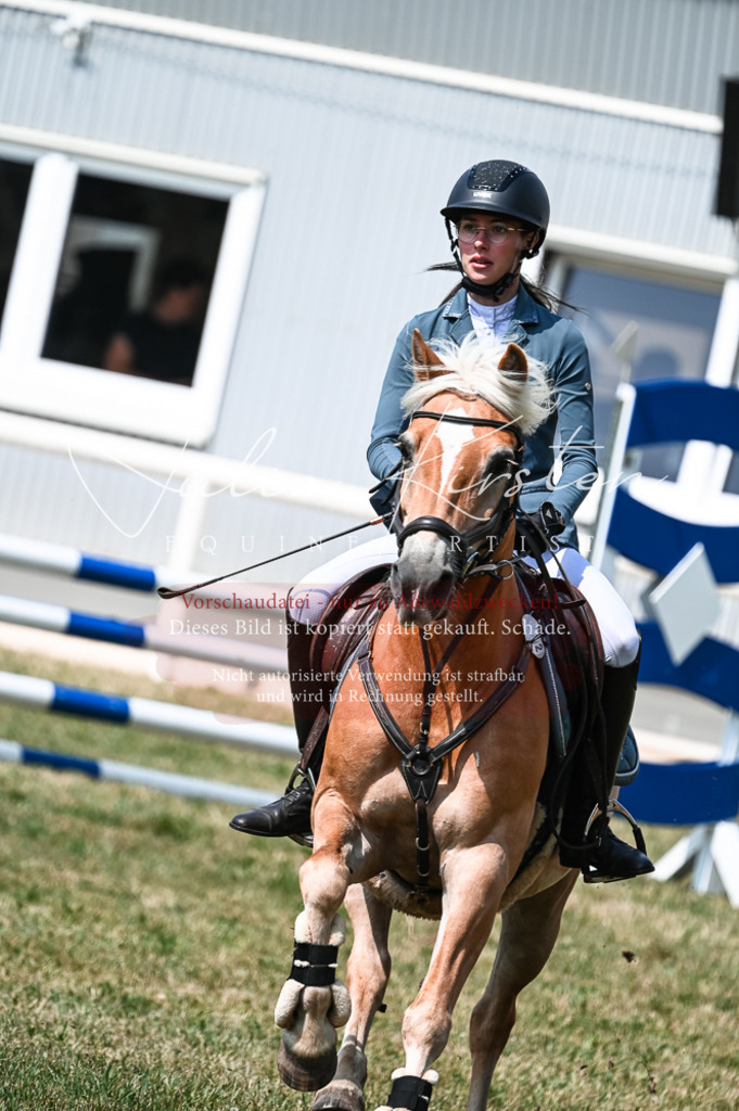 DSC_8789 | Pferde- und Turnierfotografie in Westsachsen. Pferdeportraits, Auftragszeichnungen und intuitive Kunst.