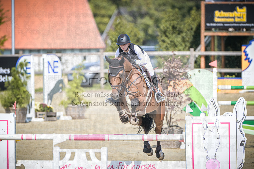 DOS_0991 | Entdecke hochwertige Reitturnierfotos von Foto Oger. Professionell, emotional und authentisch – jetzt Lieblingsmomente im Shop bestellen.Deutschlandweite Turnierfotografie. - Realisiert mit Pictrs.com