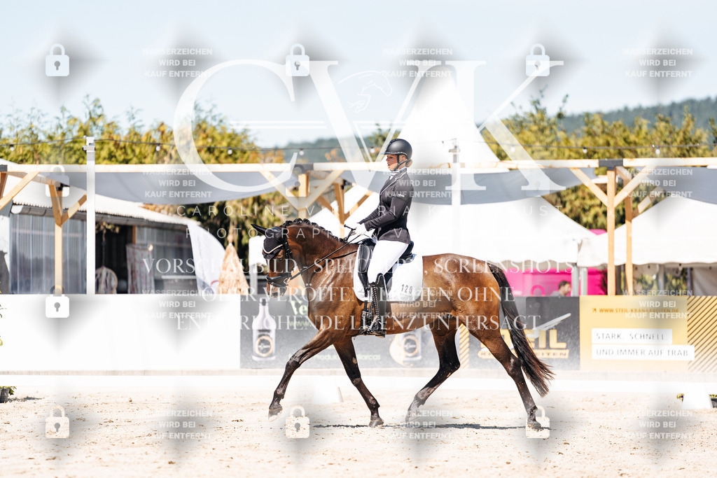 CK909782 | Turnierfotografie Pferdefotografie Trier Rheinland-Pfalz Pferdesport Reitsport Tierfotografie Sportfotografie Pferdevideo Pferdevideografie Equestrianvideography equestrianphotography  - Realisiert mit Pictrs.com