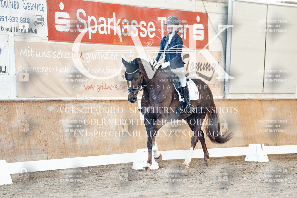CK906874 | Turnierfotografie Pferdefotografie Trier Rheinland-Pfalz Pferdesport Reitsport Tierfotografie Sportfotografie Pferdevideo Pferdevideografie Equestrianvideography equestrianphotography  - Realisiert mit Pictrs.com