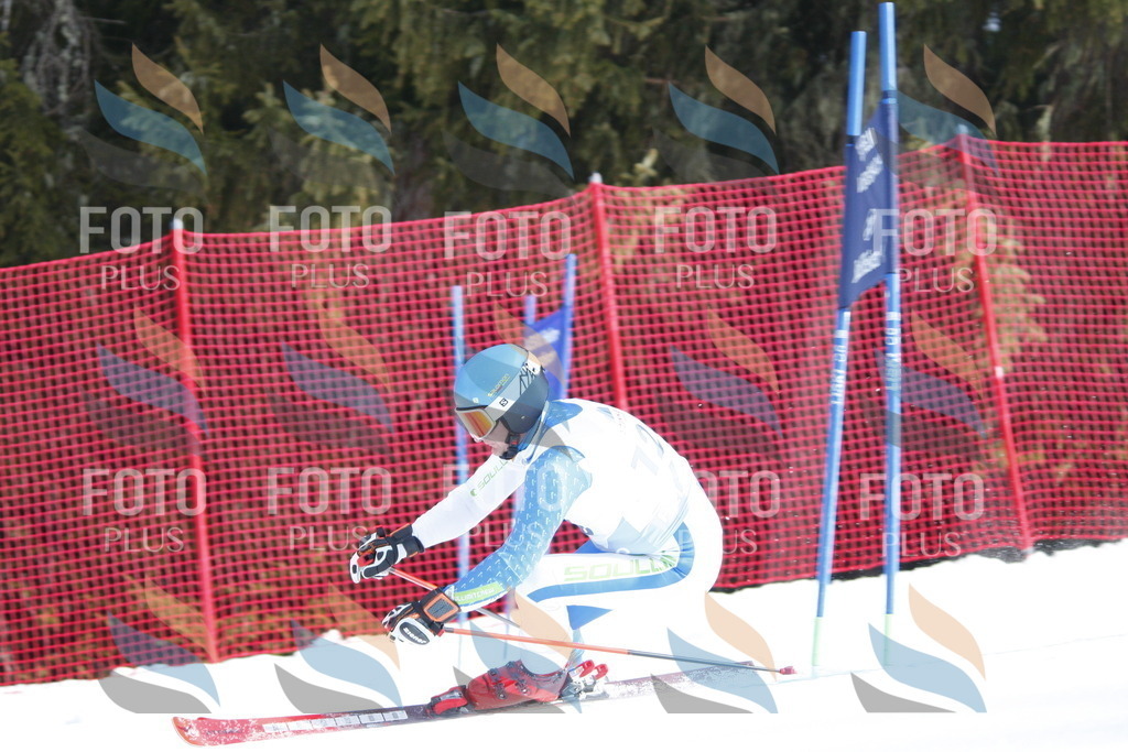 D6747 | holidayphoto