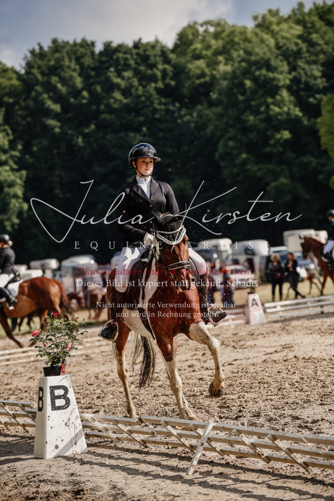 DSC_8810 | Pferde- und Turnierfotografie in Westsachsen. Pferdeportraits, Auftragszeichnungen und intuitive Kunst.