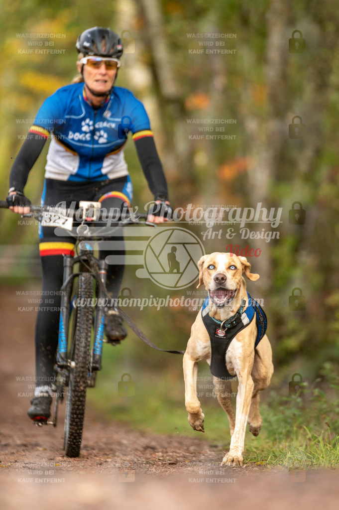 TSB_2023_E4_Bike-48 | PayLife