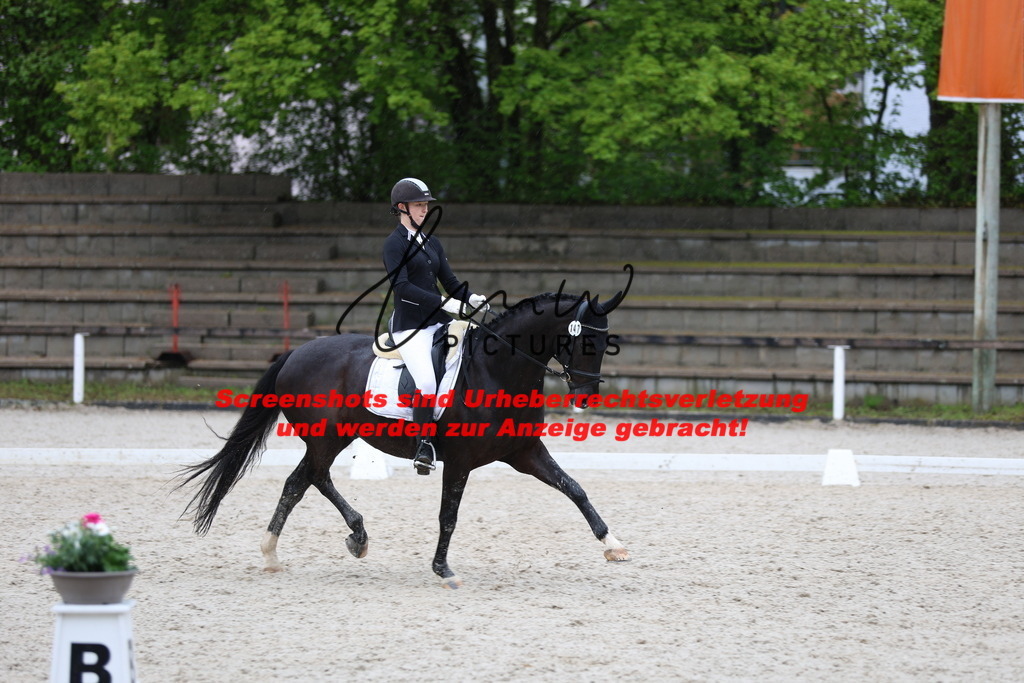 A40A9744 | lmwpictures - Realisiert mit Pictrs.com