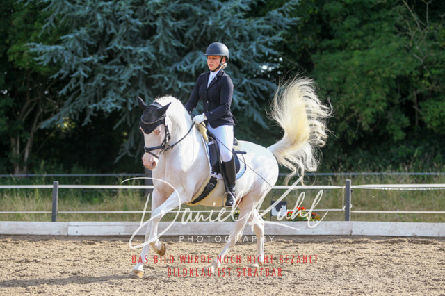 DKP45531 | Turniersportfotografie; Pferdefotografie; Dressurfotografie