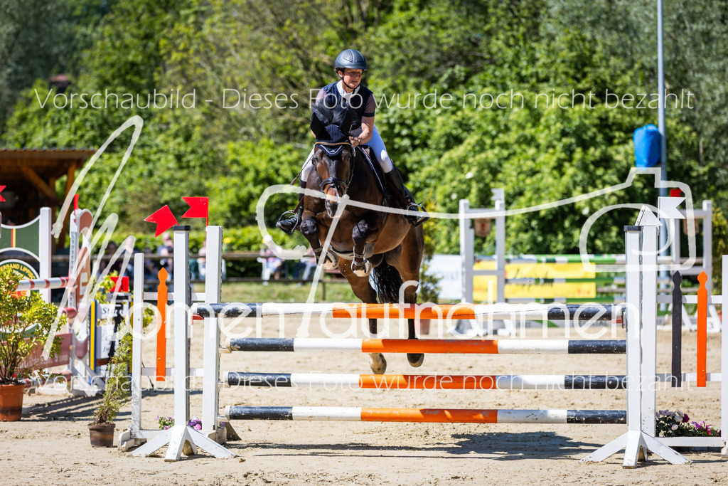 Donop24-L-Spr-019 | MomenTaufnahmen Pferdesportfotos