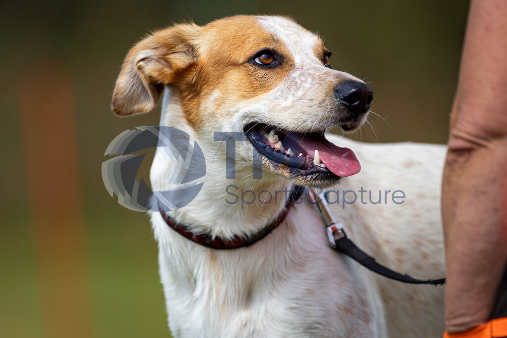 TP-20240815-0122 | Copyright: Trainproduction / Matthias Trinkl