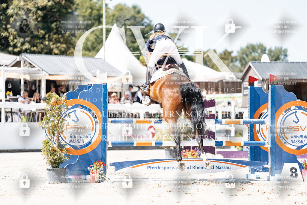 CK909573 | Turnierfotografie Pferdefotografie Trier Rheinland-Pfalz Pferdesport Reitsport Tierfotografie Sportfotografie Pferdevideo Pferdevideografie Equestrianvideography equestrianphotography  - Realisiert mit Pictrs.com