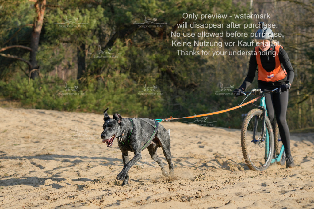 So_Scooter-122 | stephaniefillaphotographie - Realisiert mit Pictrs.com