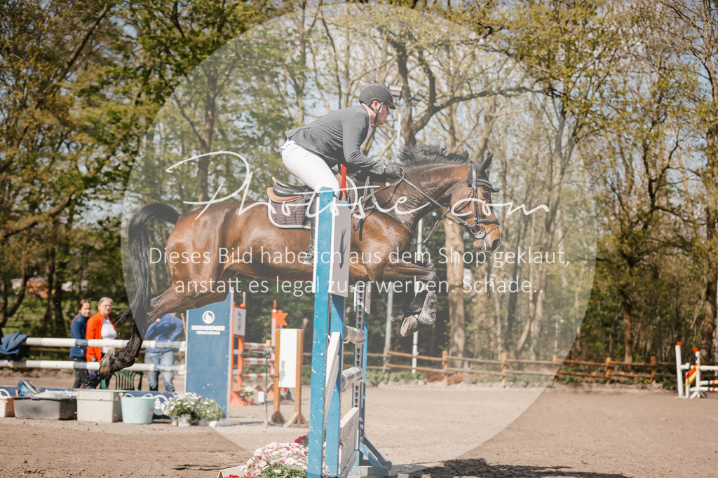 3I6A3990 | Stimmungsvolle Portraits und Reitsportfotografie im Ruhrgebiet und im Münsterland.

Pferdefotografie, Hundefotografie, Tierfotografie, Reportagen, Portraits von Tier und Mensch, Turnierfotografie in Bochum, Recklinghausen, Marl, Haltern am See, Dülmen.. - Realisiert mit Pictrs.com