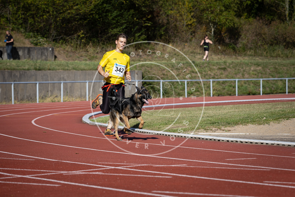 Pfotenfotografie_DV3A8307 | Hundefotografie, Tierfotograf, Pfotenfotografie, Fotoshooting Hund, Hunde Portrait, Hundesport, Hundeportraits, Heideshooting, Hunde, Sportfotograf, Hundefotograf, Turnierhundsport, THS,  - Realisiert mit Pictrs.com