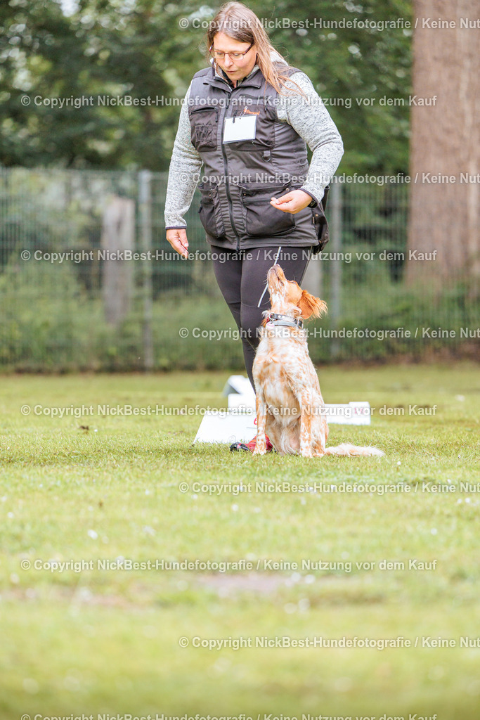 RO-Blumenthal-2026-Nickbest-Hundefotografie-3704 | Dein Hund! Dein Moment! Deine Erinnerungen! Hundefotografie in Bremen Blumenthal. Ich fange die besonderen Momente deines Vierbeiners ein – ob Indoor mit Blitzanlage oder in der freien Natur. Sicher dir dein Moment und dein Termin für eure Erinnerungen.