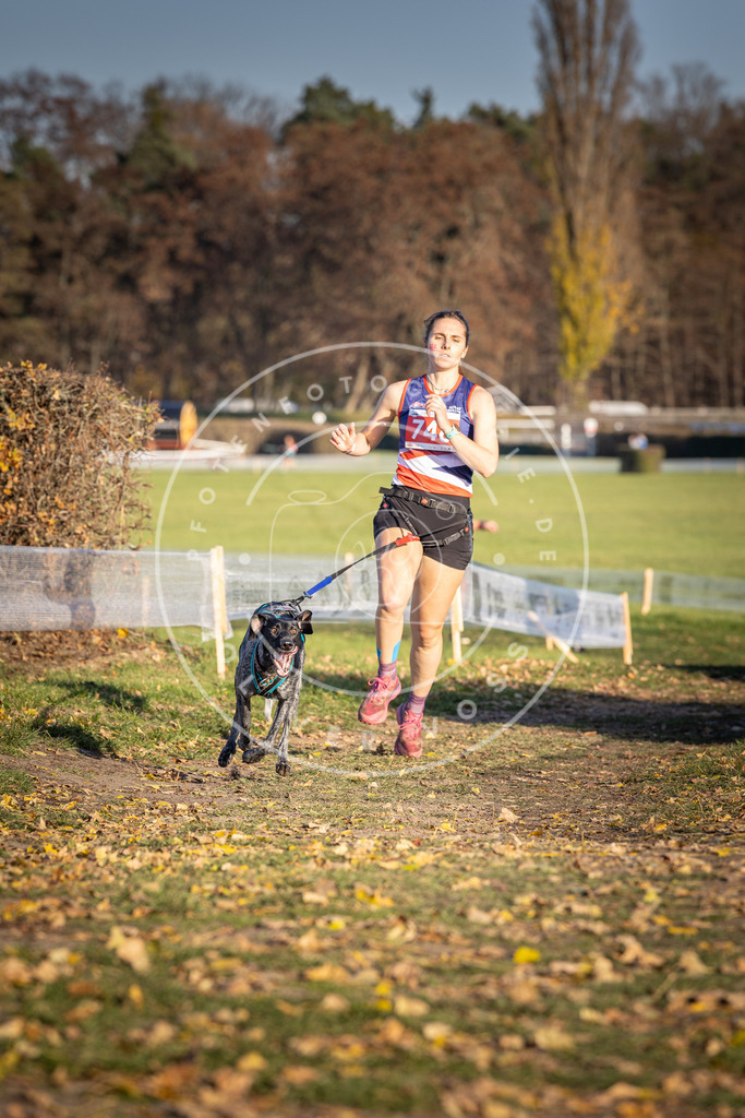 CaniXpix_DV3A2308 | Hundefotografie, Tierfotograf, Pfotenfotografie, Fotoshooting Hund, Hunde Portrait, Hundesport, Hundeportraits, Heideshooting, Hunde, Sportfotograf, Hundefotograf, Turnierhundsport, THS,  - Realisiert mit Pictrs.com