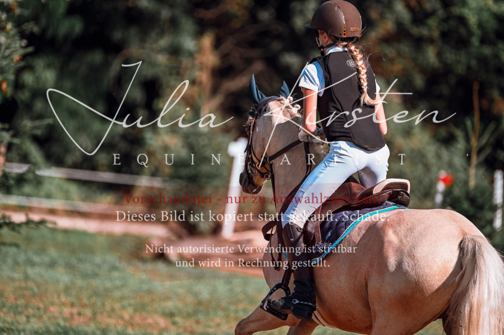 DSC_1058 | Pferde- und Turnierfotografie in Westsachsen. Pferdeportraits, Auftragszeichnungen und intuitive Kunst.