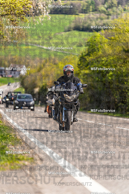 Look1-1619 | MSFotoService - Realisiert mit Pictrs.com