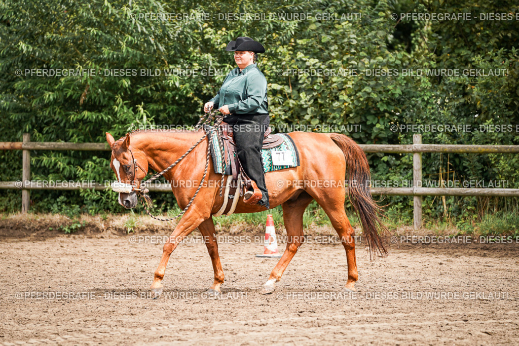 DSC04718 | Pferdegrafie