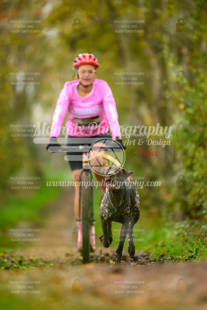 MompixPhotography_20TSB_E6_DS1-56 | PayLife