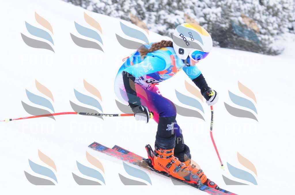 C3649 | holidayphoto