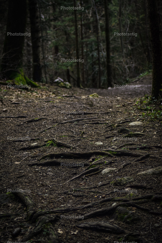 IMG_4133 | phototaetig