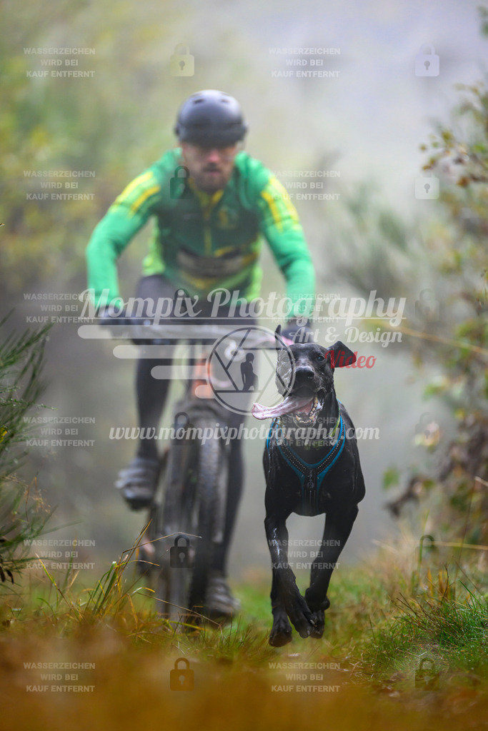 MompixPhotography_20TSB_E4_Bike-86 | PayLife