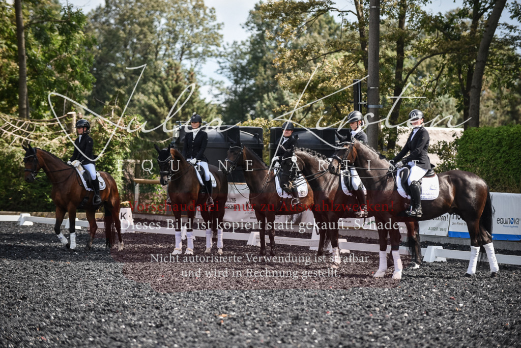 DSC_5125 | Pferde- und Turnierfotografie in Westsachsen. Pferdeportraits, Auftragszeichnungen und intuitive Kunst.