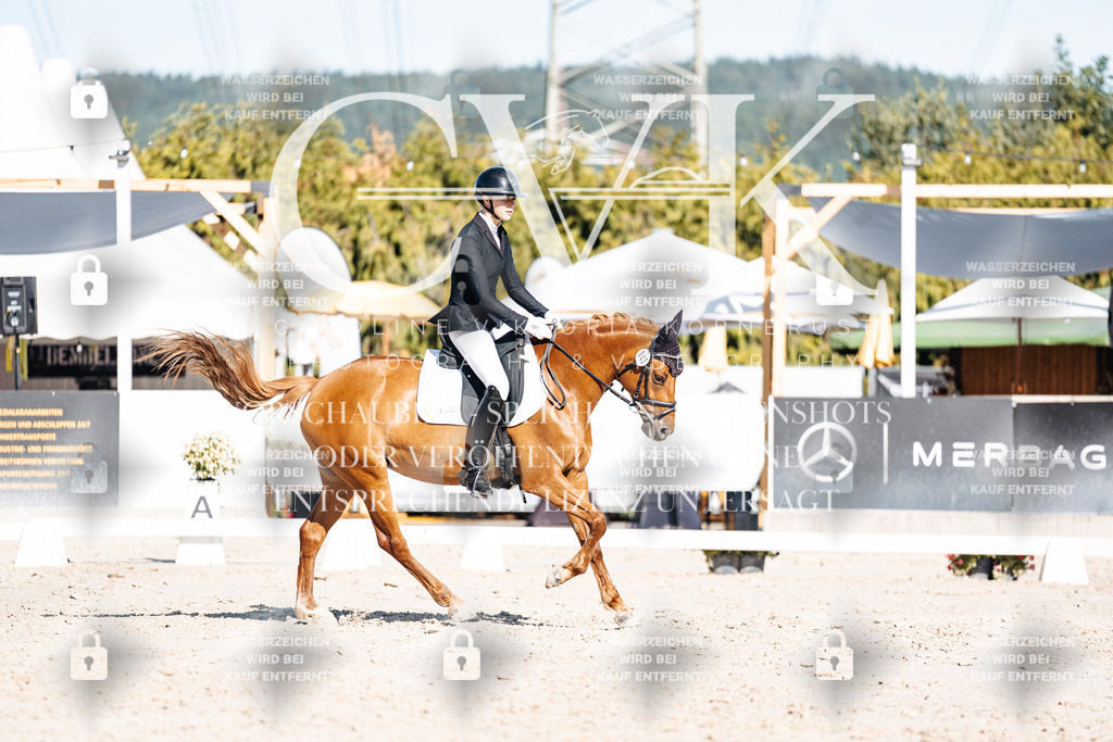 CK907877 | Turnierfotografie Pferdefotografie Trier Rheinland-Pfalz Pferdesport Reitsport Tierfotografie Sportfotografie Pferdevideo Pferdevideografie Equestrianvideography equestrianphotography  - Realisiert mit Pictrs.com