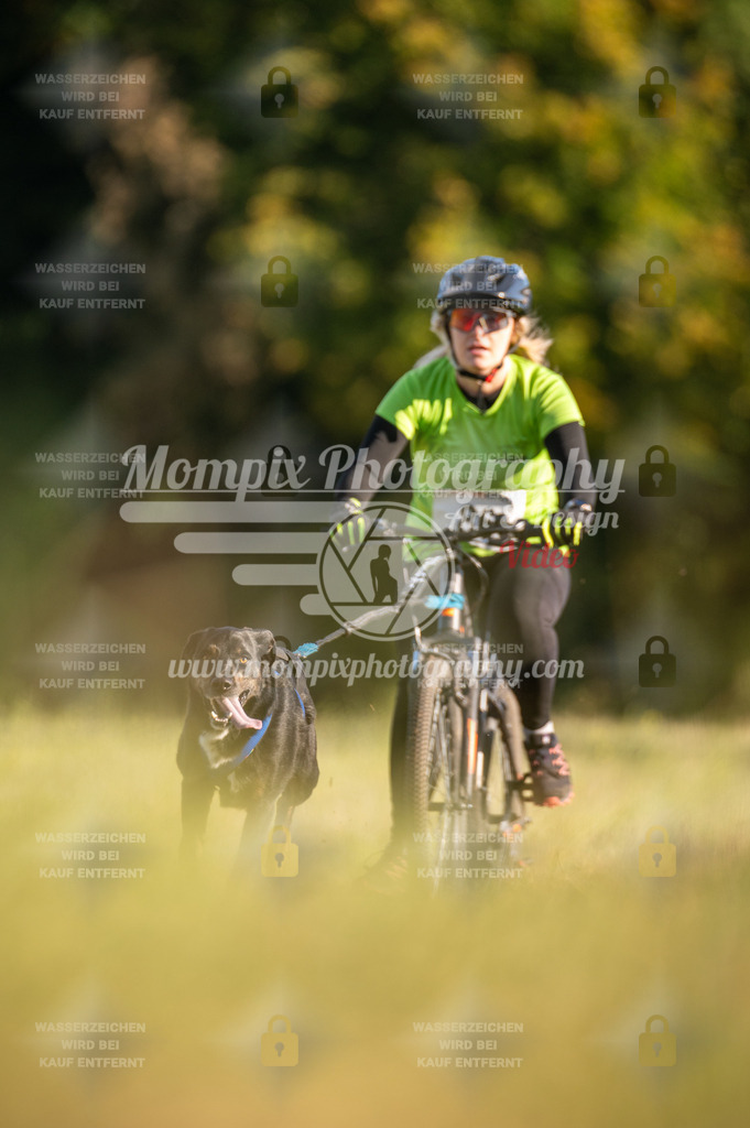 CDLBDB_15_10_2023_Dimanche-208 | PayLife