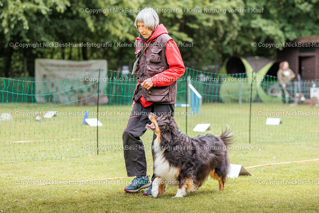 RO-Blumenthal-2026-Nickbest-Hundefotografie-2247 | Dein Hund! Dein Moment! Deine Erinnerungen! Hundefotografie in Bremen Blumenthal. Ich fange die besonderen Momente deines Vierbeiners ein – ob Indoor mit Blitzanlage oder in der freien Natur. Sicher dir dein Moment und dein Termin für eure Erinnerungen.