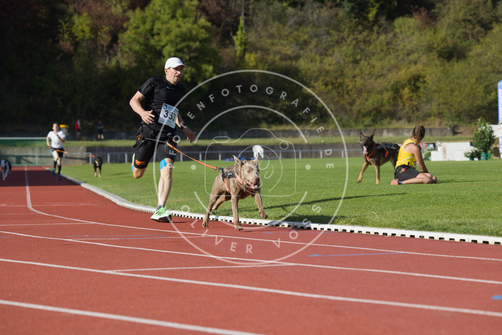 0L8A0142 | Hundefotografie, Tierfotograf, Pfotenfotografie, Fotoshooting Hund, Hunde Portrait, Hundesport, Hundeportraits, Heideshooting, Hunde, Sportfotograf, Hundefotograf, Turnierhundsport, THS,  - Realisiert mit Pictrs.com