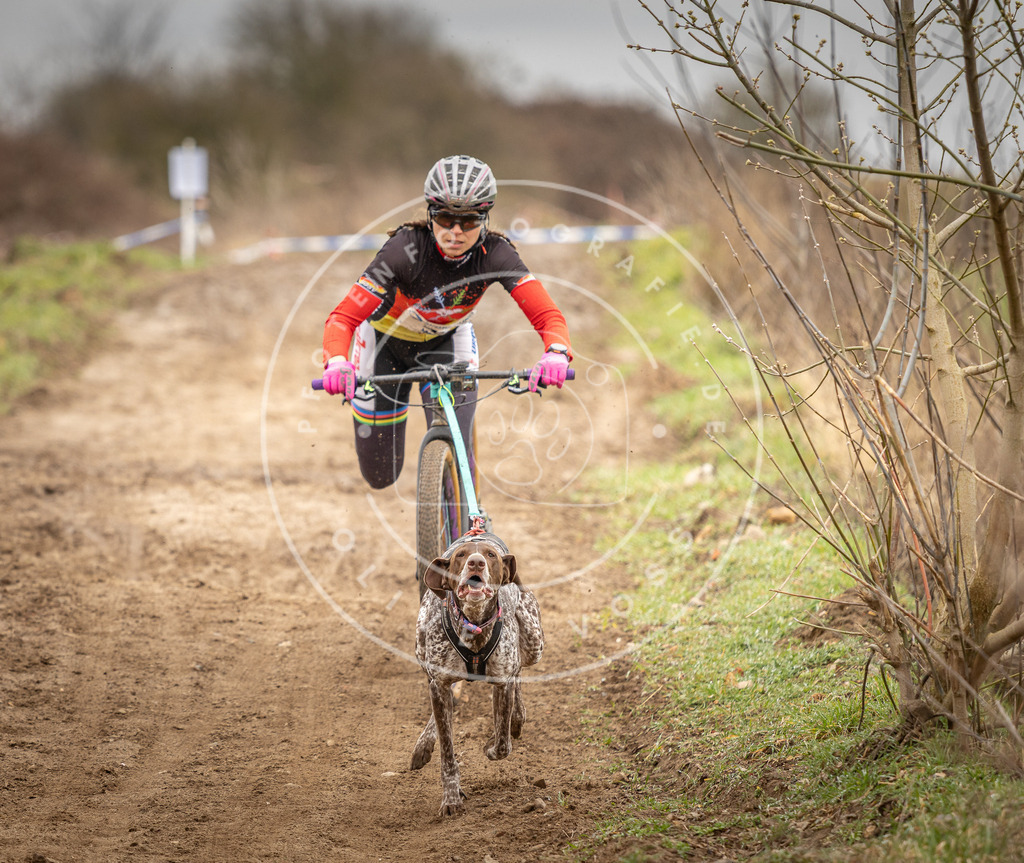 DV3A1252 | Hundefotografie, Tierfotograf, Pfotenfotografie, Fotoshooting Hund, Hunde Portrait, Hundesport, Hundeportraits, Heideshooting, Hunde, Sportfotograf, Hundefotograf, Turnierhundsport, THS,  - Realisiert mit Pictrs.com