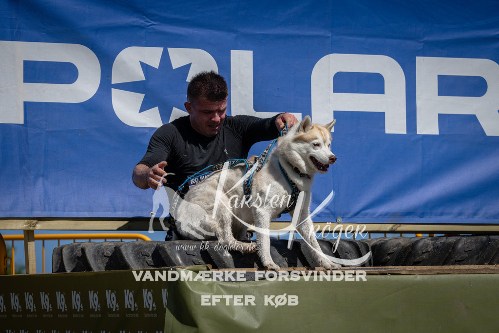 1243_ZZ96389 | kk-dogfotos
