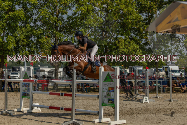 26-7-26 Punktespringen M++-434 | mandyhollmannphotographie