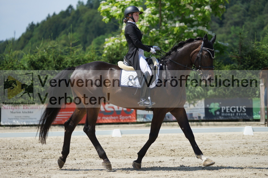 DSC05245 | equestrian-live-com