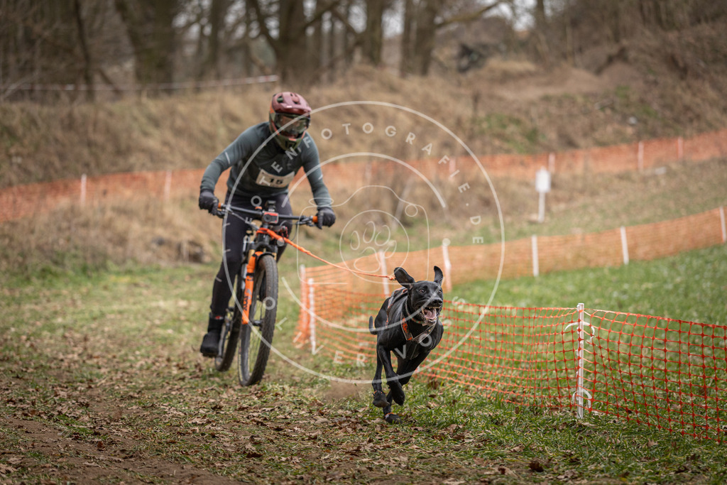 Pfotenfotografie_DV3A6874 | Hundefotografie, Tierfotograf, Pfotenfotografie, Fotoshooting Hund, Hunde Portrait, Hundesport, Hundeportraits, Heideshooting, Hunde, Sportfotograf, Hundefotograf, Turnierhundsport, THS,  - Realisiert mit Pictrs.com