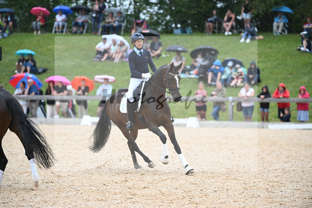 Sparten des Reitsports aus der eigenen Zucht_36240940 | hf-fotografie - Realisiert mit Pictrs.com