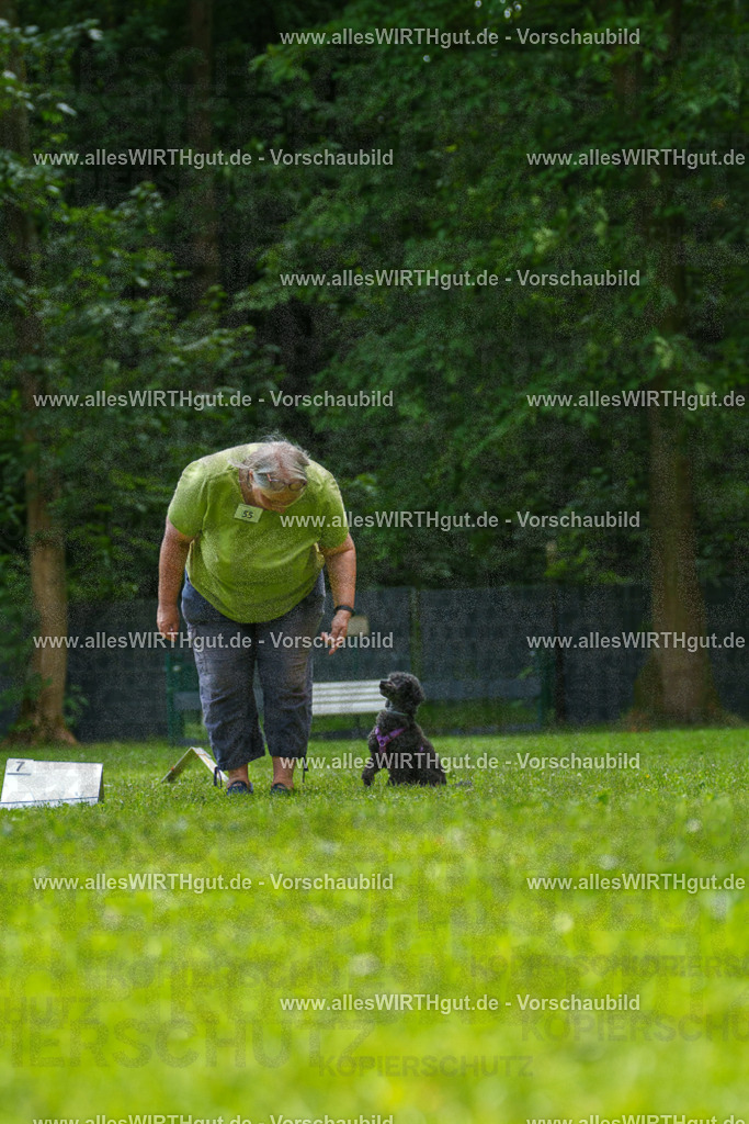 @allesWIRTHgut_Tierfotografie - www.allesWIRTHgut.de - 7R501030 | Professionelle Tierfotografie in Mönchengladbach von Daniel Wirth (allesWIRTHgut). Liebevolle & natürliche Bilder von Hunden & Katzen für unvergessliche Erinnerungen.