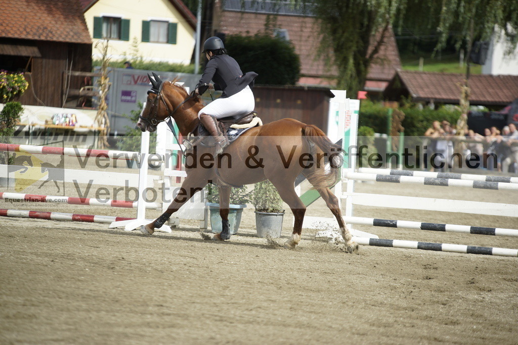 _DSC4365 | equestrian-live-com