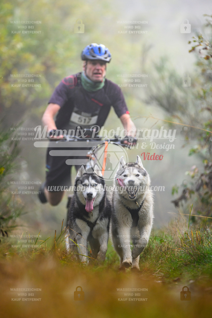 MompixPhotography_20TSB_E4_DS2-27 | PayLife