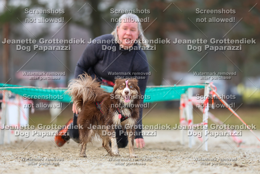 Dog Paparazzi - Strongdog North Mrz26-3762 | Dog Paparazzi Jeanette Grottendiek Fotografie & Videografie - Realisiert mit Pictrs.com