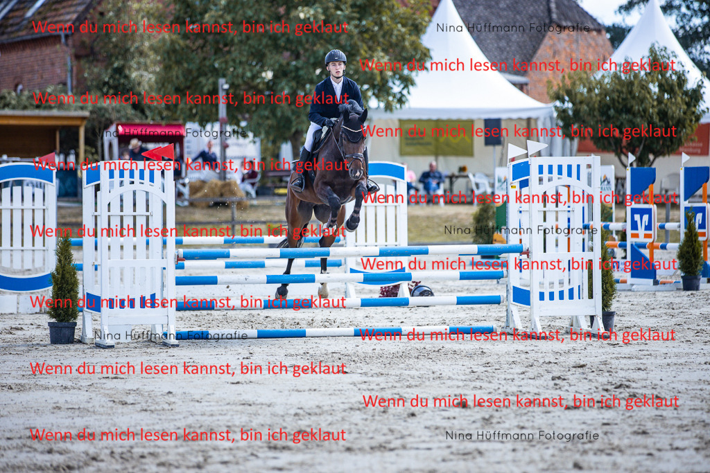 BK1A5102 | Turnierbilder Turnierfotos Nina Hüffmann Turnierfotografie Pferdefotografie Tierzeichnung Haustierzeichnung Pferdezeichnung Hundezeichnung Videograf  - Realisiert mit Pictrs.com