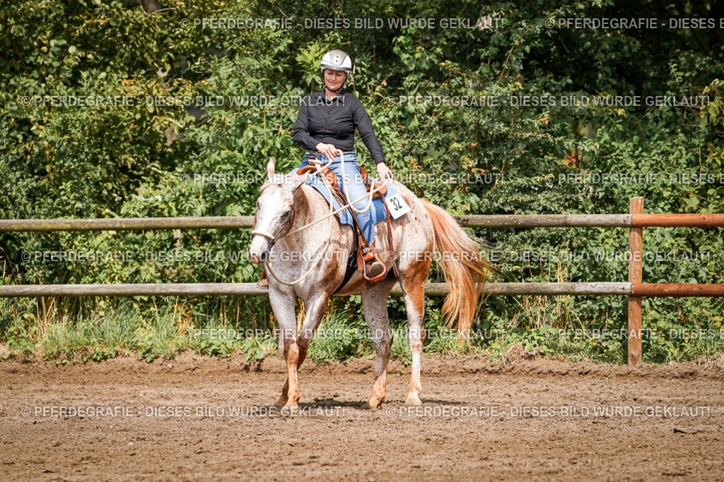 DSC07324 | Pferdegrafie