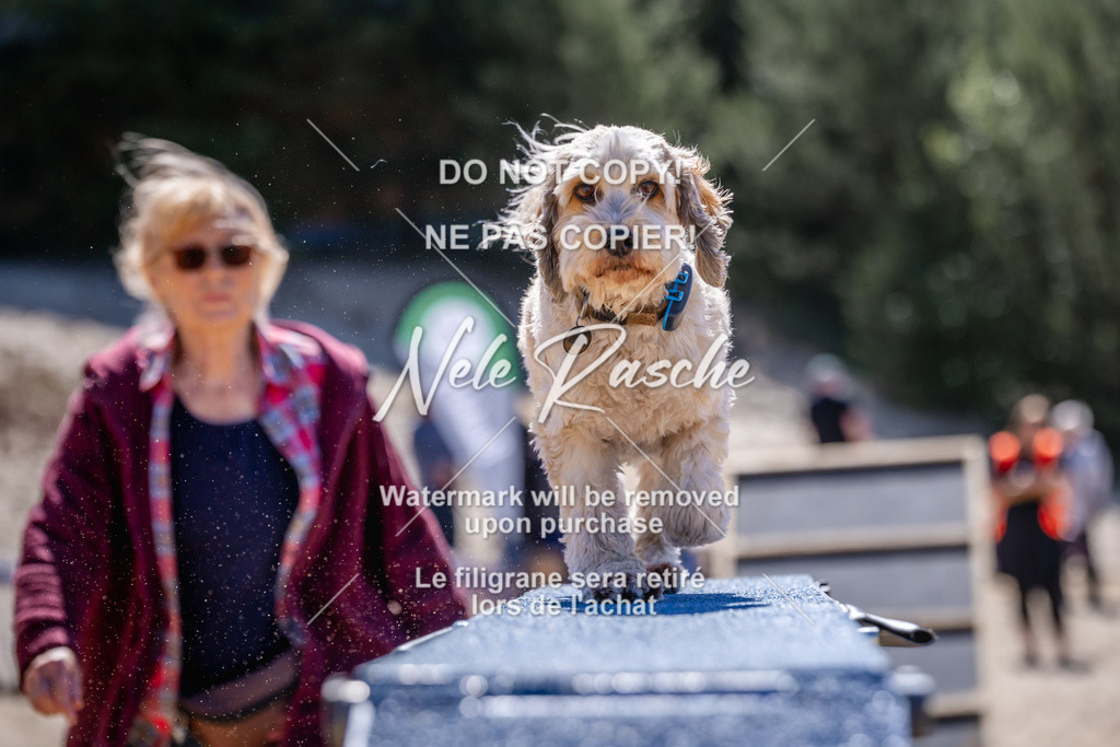 NR__1401 | nelerasche