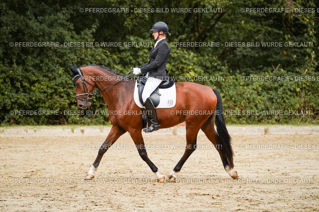 DSC09566 | Pferdegrafie